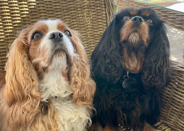 Casa Magnolia 3* 가파나다나자레